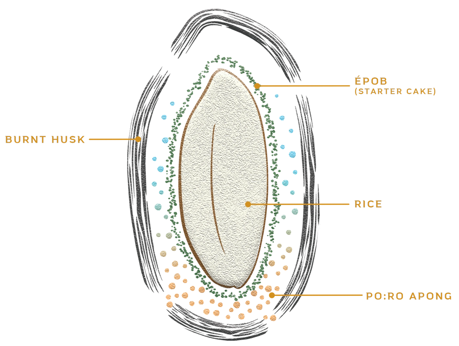 Oval illustration representing the grain boundary fermentation process